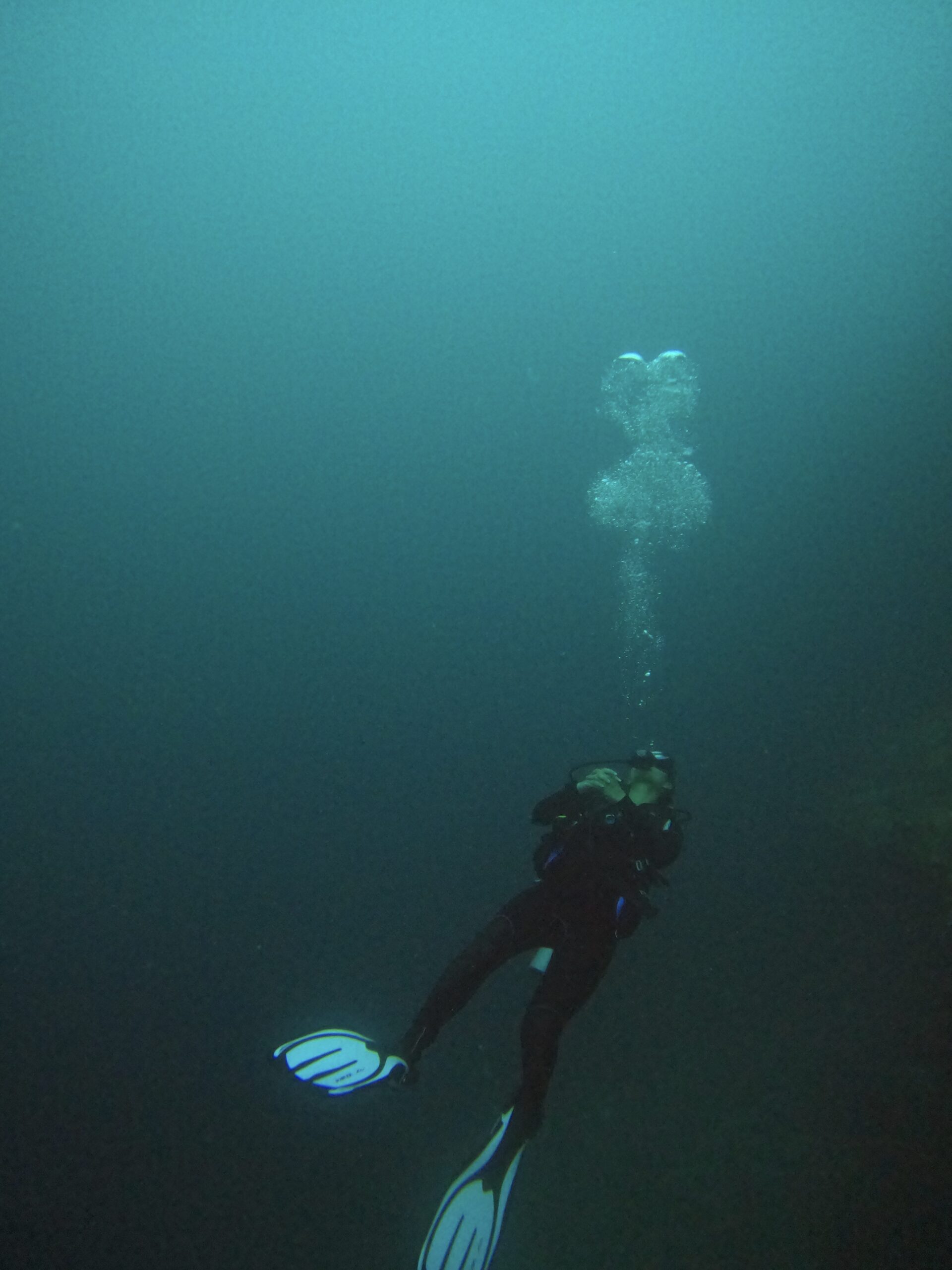 dcim100goprogopr2915.jpg